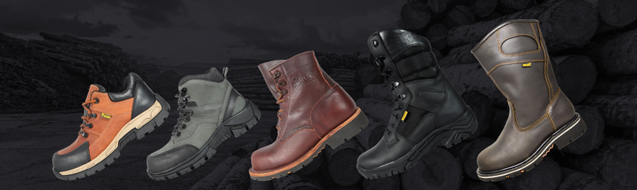 ZAPATOS-BANER-EMPRESA-WEB